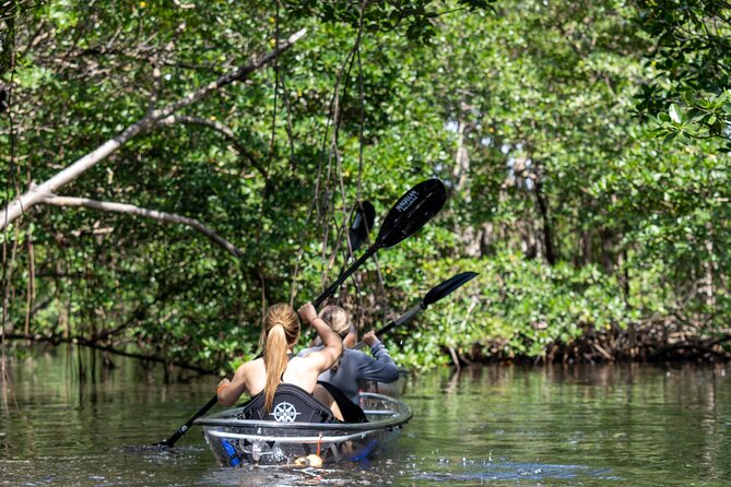 Clear Kayak Tour in North Miami Beach - Mangrove Tunnels - What the 2.5-hour paddle feels like