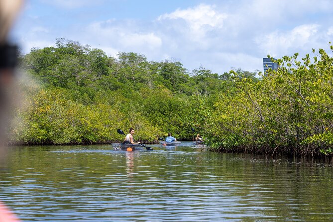 Clear Kayak Tour in North Miami Beach - Mangrove Tunnels - Why the guide can make or break the outing