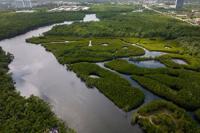 Clear Kayak Tour in North Miami Beach - Mangrove Tunnels - Clear kayaks, comfortable enough for some