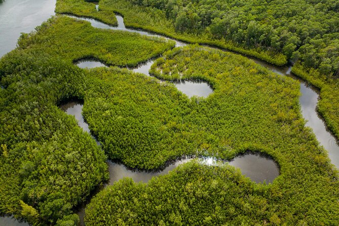 Clear Kayak Tour in North Miami Beach - Mangrove Tunnels - Meeting at East Greynolds Park