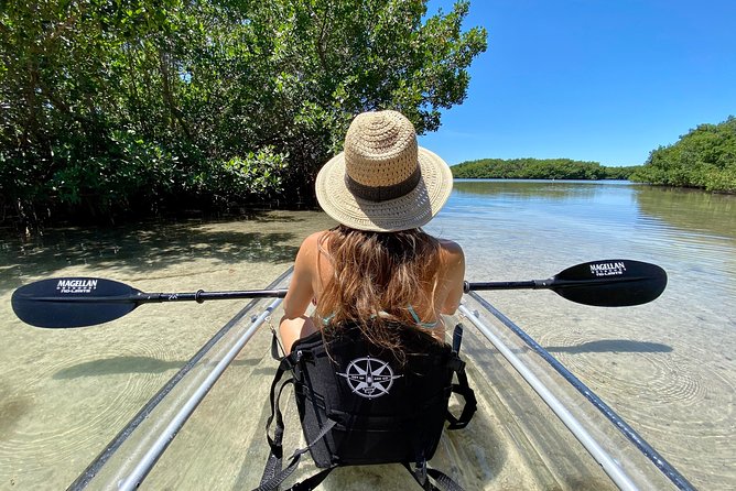 Clear Kayak Tour of Shell Key Preserve and Tampa Bay Area - Starting beside Billy’s Stone Crab in Tierra Verde
