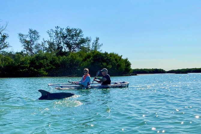 Clear Kayak Tour of Shell Key Preserve and Tampa Bay Area - Wind, water clarity, and the effort involved