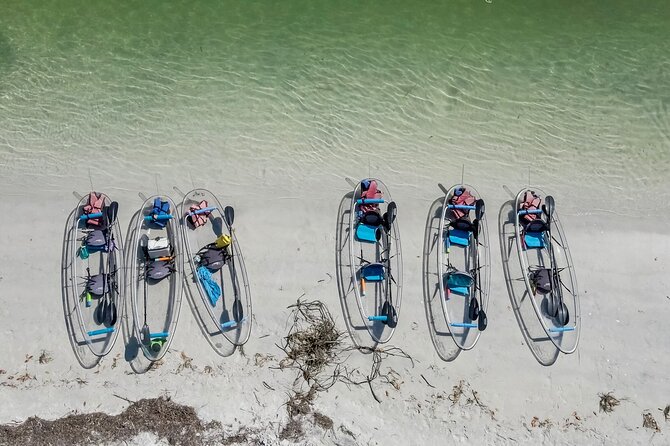 Clear Kayak Tour of Shell Key Preserve and Tampa Bay Area - What the $79 price buys you