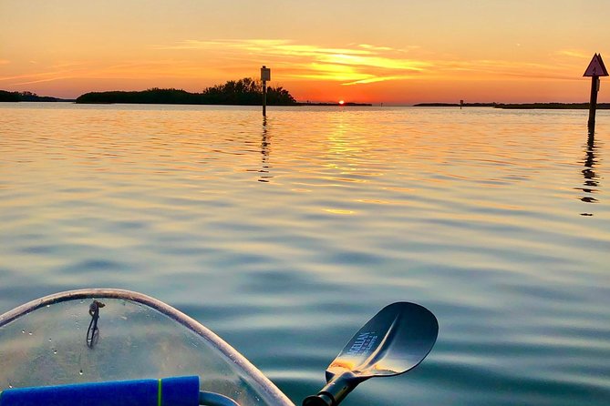 Clear Kayak Tour of Shell Key Preserve and Tampa Bay Area - Families, couples, and solo paddlers