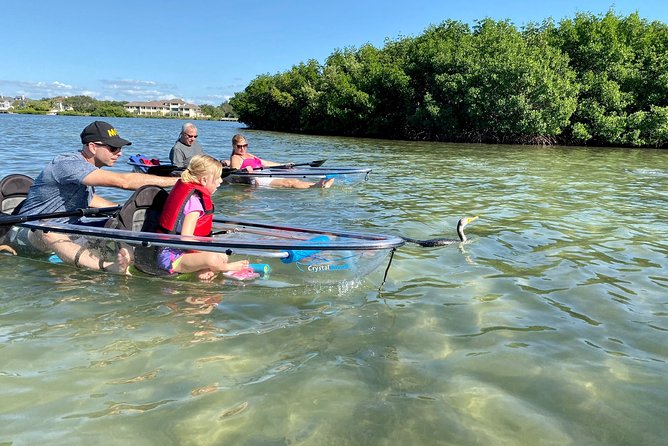 Clear Kayak Tour of Shell Key Preserve and Tampa Bay Area - Practical packing and timing advice