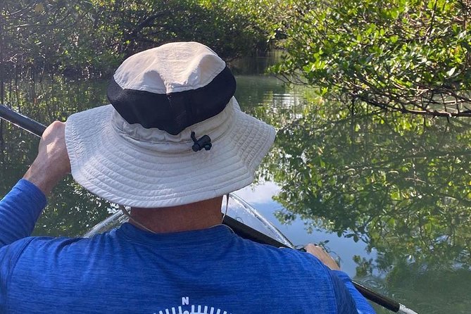 Clear Kayak Tours in Fort Pierce - What the Fort Pierce paddle is really like