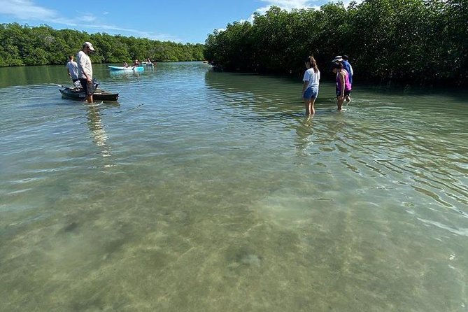 Clear Kayak Tours in Fort Pierce - Open water, wildlife stops, and local stories