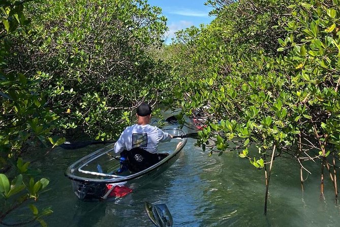 Clear Kayak Tours in Fort Pierce - Who will enjoy this tour most