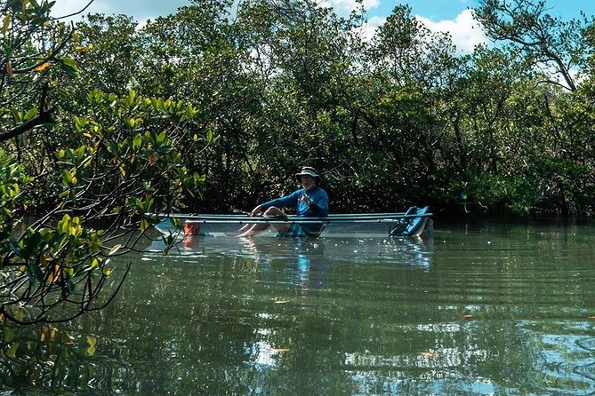 Clear Kayak Tours in Fort Pierce - Is $90 a fair price?