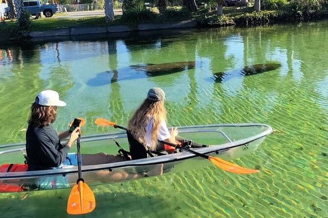 Clear Kayak Tours in Weeki Wachee - Quick points to know