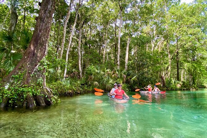 Clear Kayak Tours in Weeki Wachee - Wildlife along the winding waterways