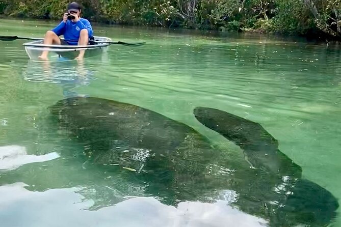 Clear Kayak Tours in Weeki Wachee - Why the guides matter