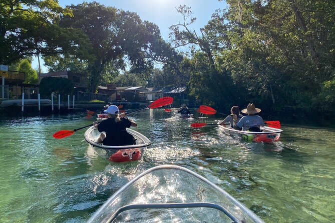 Clear Kayak Tours in Weeki Wachee - Crowds, homes, and changing water conditions