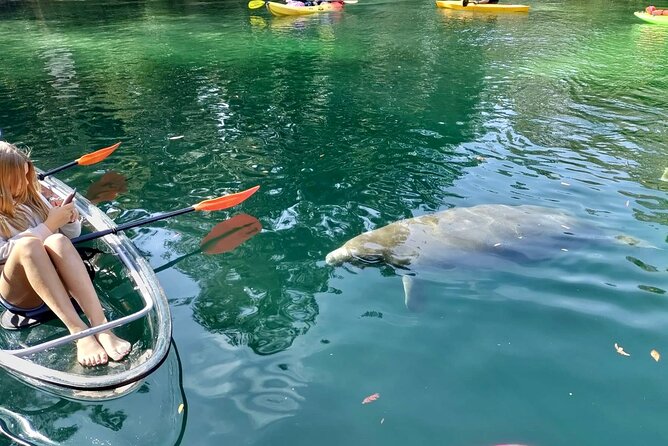 Clear Kayak Tours in Weeki Wachee - Is $79 a fair price?