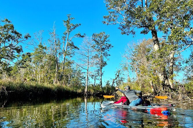 Clear Kayak Tours in Weeki Wachee - Who should book this Weeki Wachee tour?