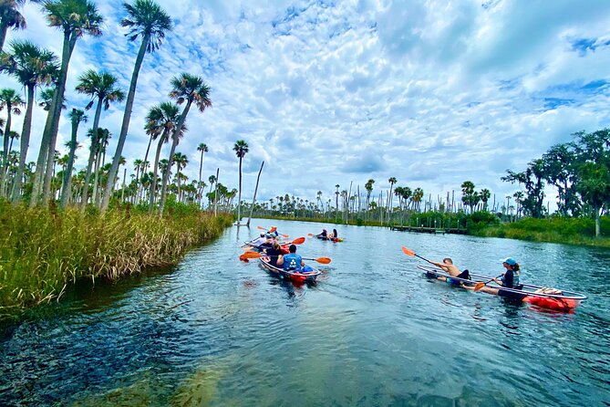 Clear Kayak Tours in Weeki Wachee - What the clear kayak adds