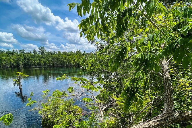 Clear Kayaking Eco Adventure Tour in Marianna - Why the clear kayak makes this Marianna trip different