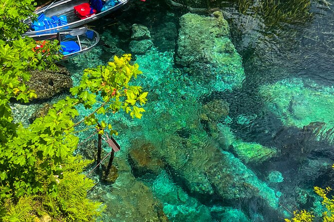 Clear Kayaking Eco Adventure Tour in Marianna - Paddling through limestone, cypress, and spring water