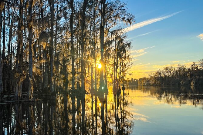 Clear Kayaking Eco Adventure Tour in Marianna - Families, couples, and first-time kayakers