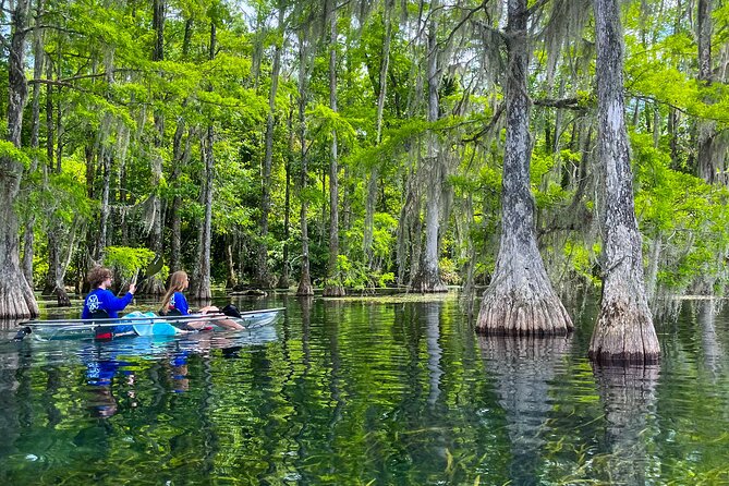 Clear Kayaking Eco Adventure Tour in Marianna - Packing tips for a smoother outing
