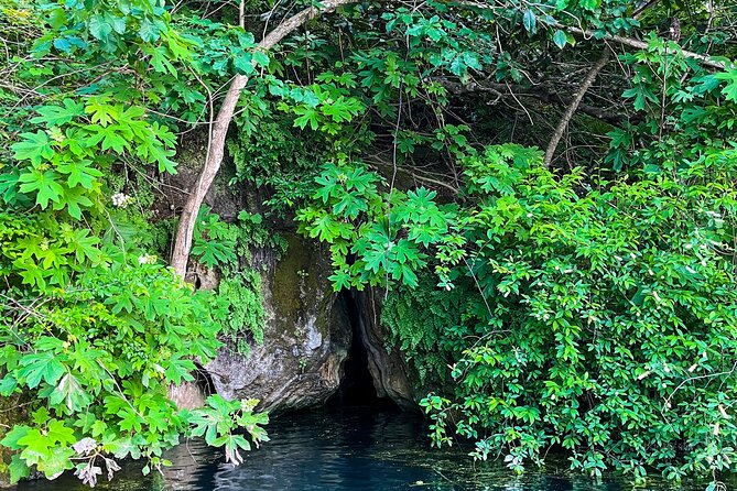 Clear Kayaking Eco Adventure Tour in Marianna - Meeting at Cave Adventurers in Marianna