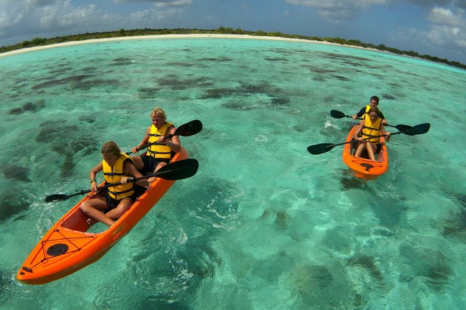 Clearbottom Mangrove Kayak & Snorkel tour - Why the clear-bottom kayak matters