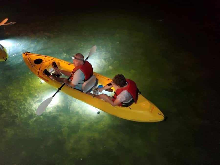 Clearwater Beach: Glass Bottom LED Kayak Night Tour - Key points to know before booking