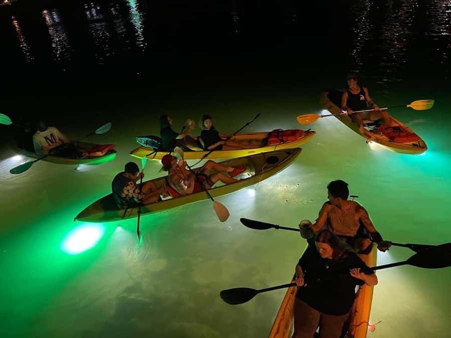 Clearwater Beach: Glass Bottom LED Kayak Night Tour - What makes this night paddle different