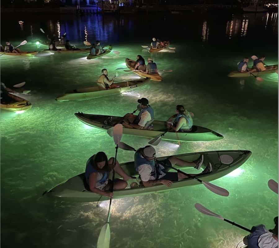 Clearwater Beach: Glass Bottom LED Kayak Night Tour - Watching fish beneath the glass bottom