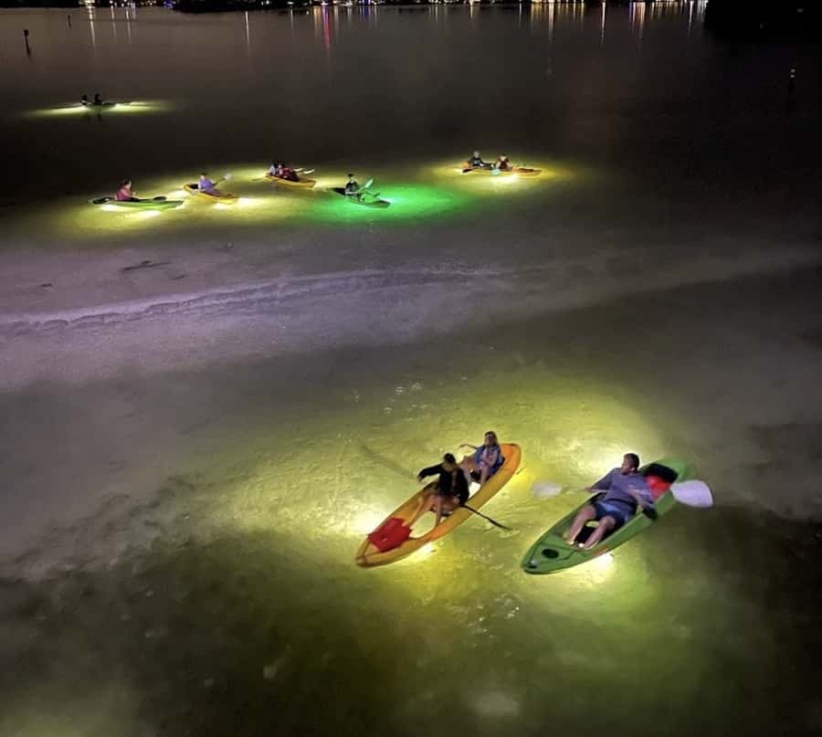Clearwater Beach: Glass Bottom LED Kayak Night Tour - Starting among mangroves and shore birds