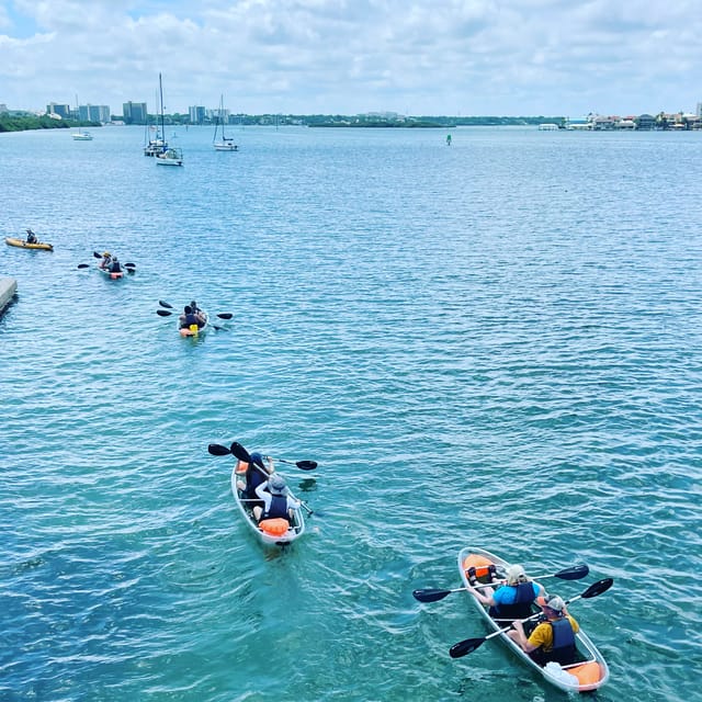 Clearwater: Guided Clear Kayaking Tour - What paddling a tandem clear kayak feels like