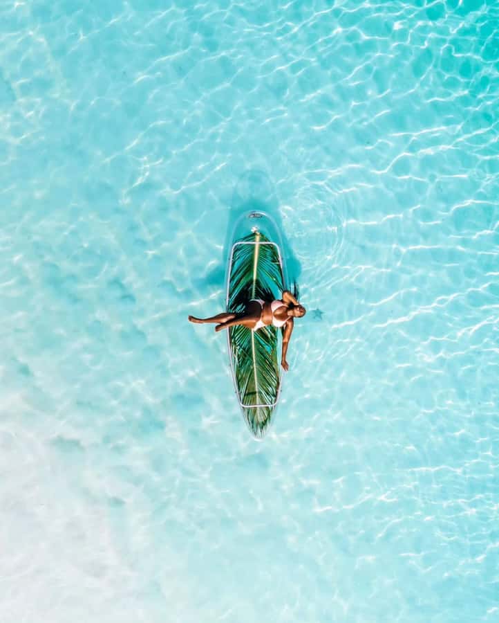 Coastal Odyssey: Kayaking Adventure at Kendwa & Nungwi Beach - Price and what you actually receive