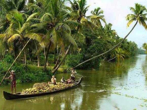 Cochin : Alleppey/Alappuzha Backwater Canoe (Shikara) Cruise - Why Alappuzha’s Backwaters Are Worth Your Day