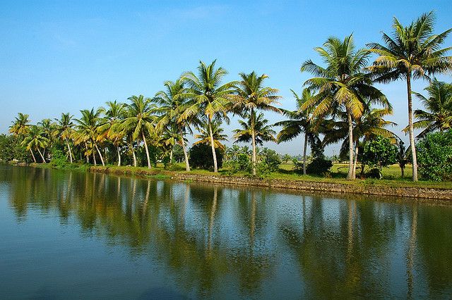 Cochin : Alleppey/Alappuzha Backwater Canoe (Shikara) Cruise - Leaving Cochin Port at 9:00 in the Morning