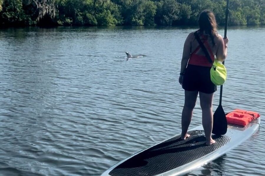 Cocoa Beach: Dolphin and Manatee Kayak or Paddle Tour - Key points to know before you paddle