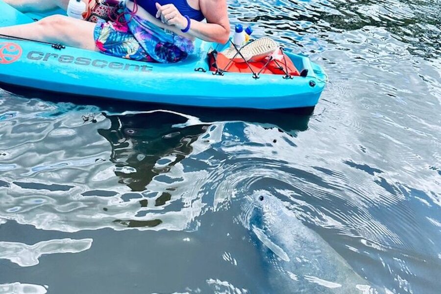 Cocoa Beach: Dolphin and Manatee Kayak or Paddle Tour - Booking details that matter