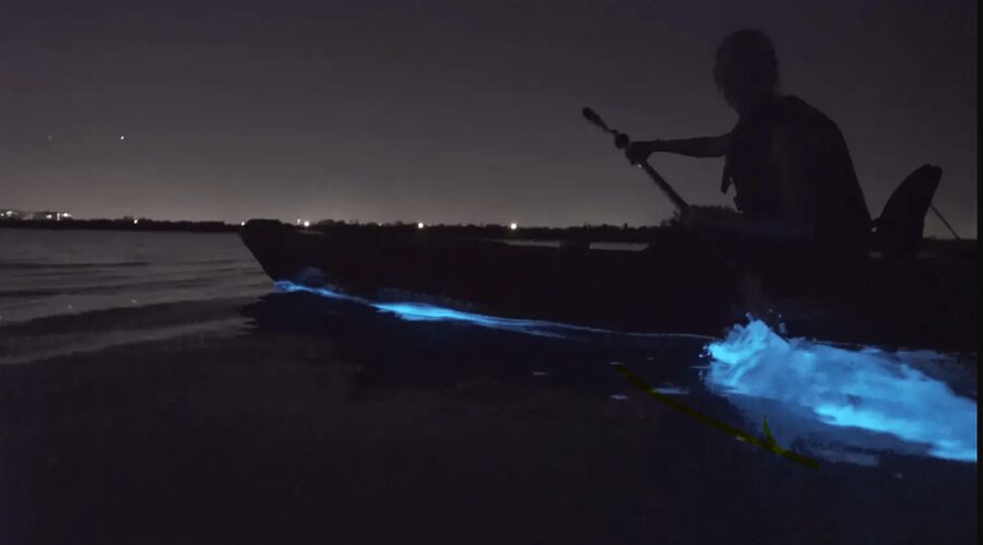 Cocoa Beach/Merritt Island:Bioluminescent kayak tour - Key points to know before you book