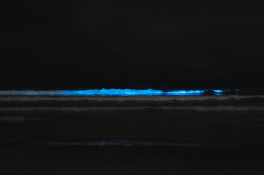 Cocoa Beach/Merritt Island:Bioluminescent kayak tour - Plankton season from May through August