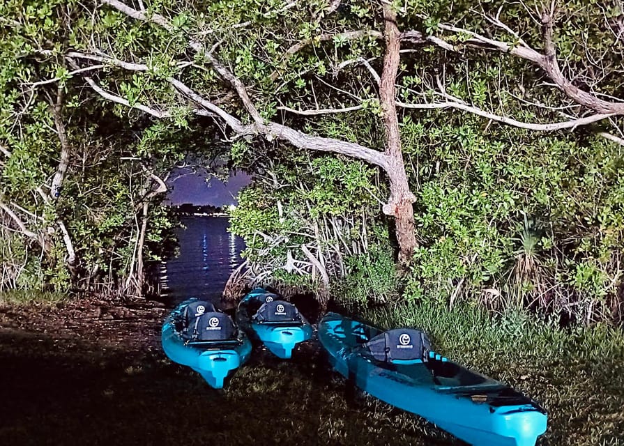 Cocoa Beach/Merritt Island:Bioluminescent kayak tour - What the $63 price includes