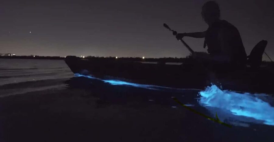 Cocoa Beach/Merritt Island:Bioluminescent kayak tour - Meeting at Kiwanis Island Park Road