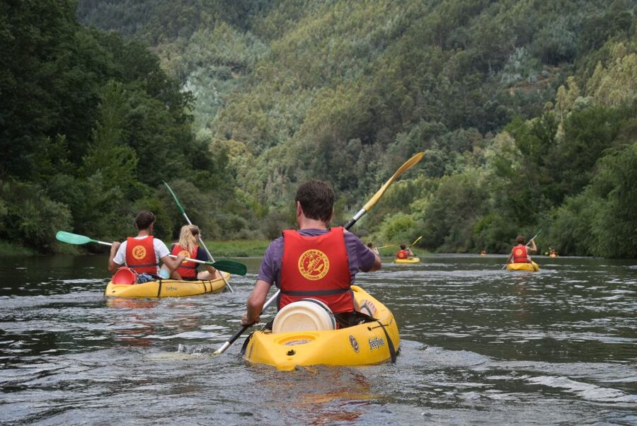 Coimbra: Mondego River Kayaking Tour - Three hours through forests and village riverbanks