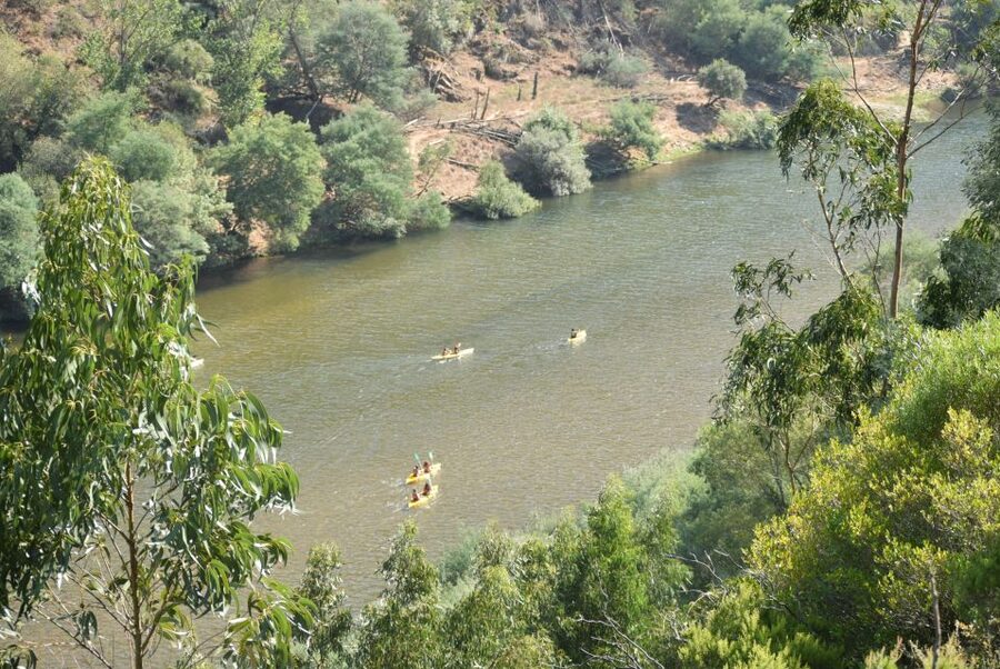 Coimbra: Mondego River Kayaking Tour - The last section to Torres do Mondego