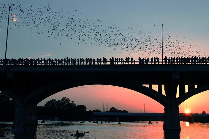 Congress Avenue Bat Bridge Kayak Tour in Austin - Key points to know before you paddle