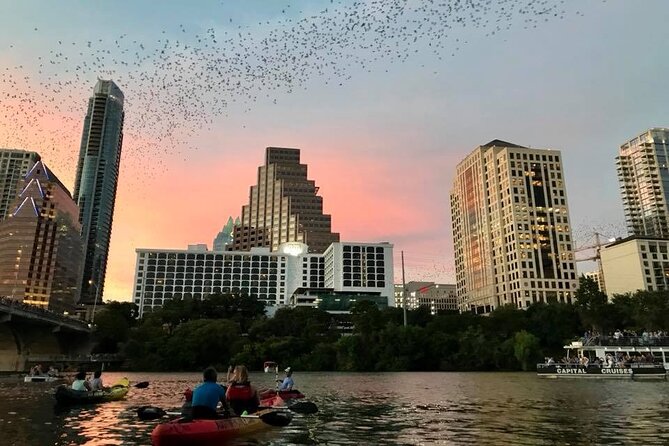 Congress Avenue Bat Bridge Kayak Tour in Austin - Why the bats are the real Austin attraction