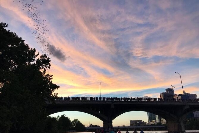 Congress Avenue Bat Bridge Kayak Tour in Austin - Watching the Congress Avenue Bridge bat flight