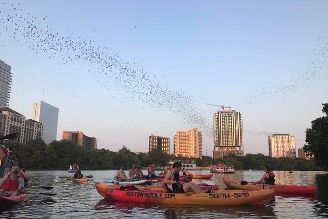 Congress Avenue Bat Bridge Kayak Tour in Austin - Austin’s skyline from the lake