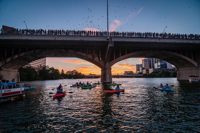 Congress Bridge Kayaking Bat Tour - Key points to know before booking