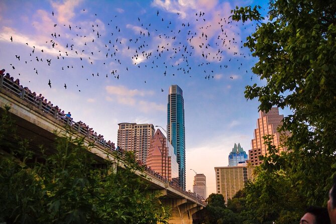 Congress Bridge Kayaking Bat Tour - What the $54.99 price includes