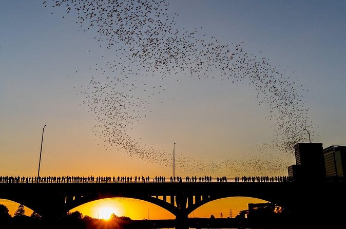 Congress Bridge Kayaking Bat Tour - Timing your Austin evening