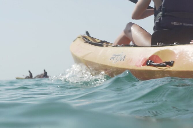 Costa Brava: Kayak, Snorkel, Photos, Lunch, Beach & Cliff Jump! - Snorkeling in clear Mediterranean water